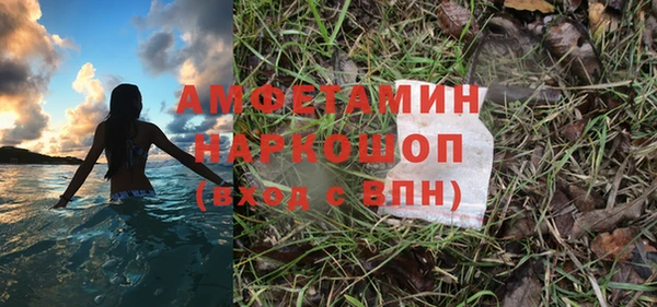 сатива Наволоки